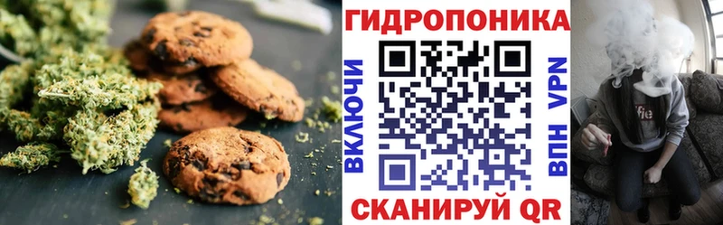 omg рабочий сайт  Назрань  Cannafood марихуана 