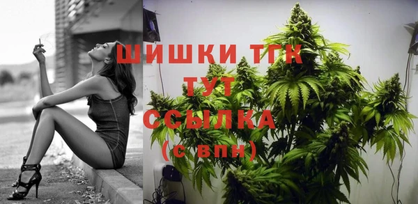 spice Верея