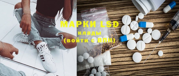 spice Верея