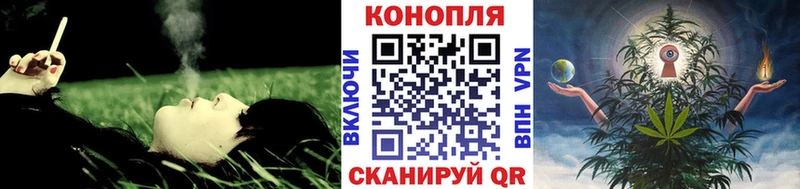 где найти   Назрань  Шишки марихуана OG Kush 
